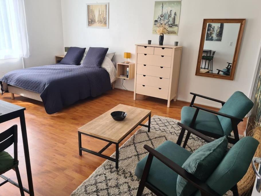 Studio Avec Terrasse Et Place De Parking Toulouse Luaran gambar